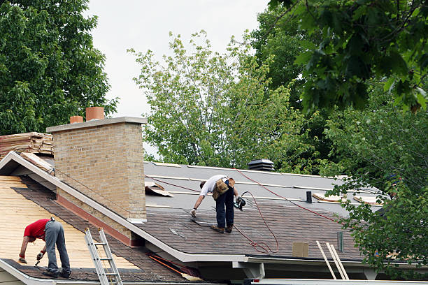Quick and Trustworthy Emergency Roof Repair Services in Zelienople, PA