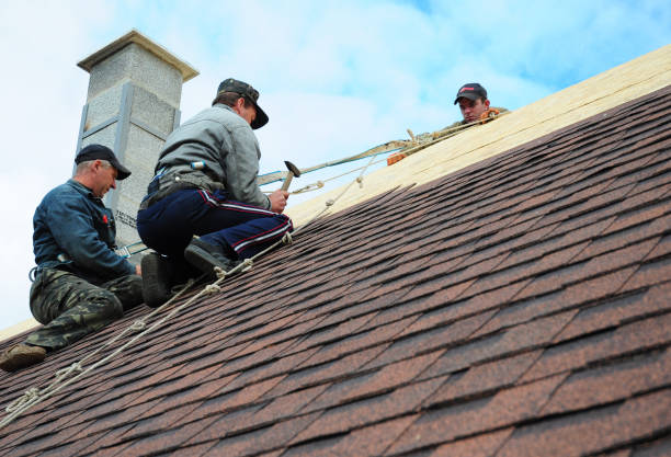 Best Roof Waterproofing Services  in Zelienople, PA
